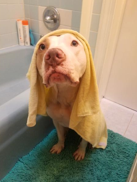 /Images/uploads/Humane Rescue Alliance/HRACalendarPhotoContest/entries/8366thumb.jpg